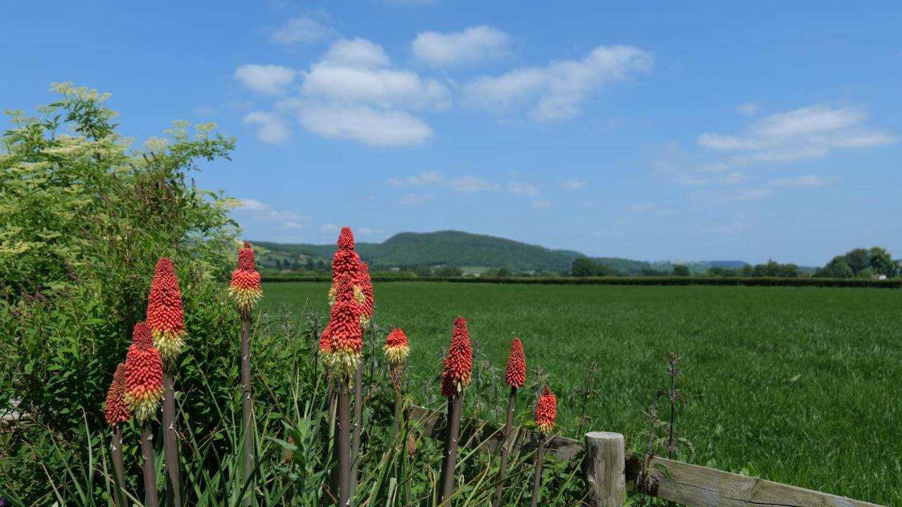 Country Cottage With Far Reaching Views Presteigne المظهر الخارجي الصورة