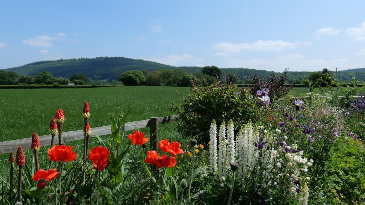 Country Cottage With Far Reaching Views Presteigne المظهر الخارجي الصورة